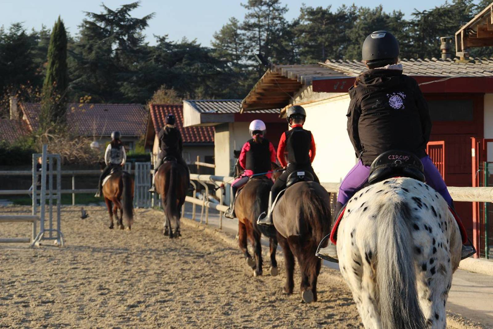 Cours d’équitation Rhône Alpes Centre équestre Lyon Parilly