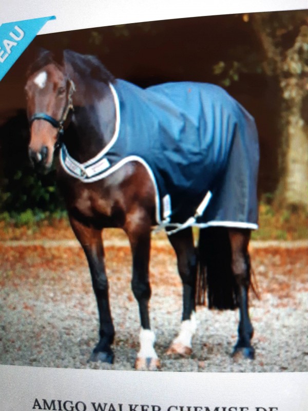 Où trouver une couverture de marcheur pour mon cheval à Bordeaux ?