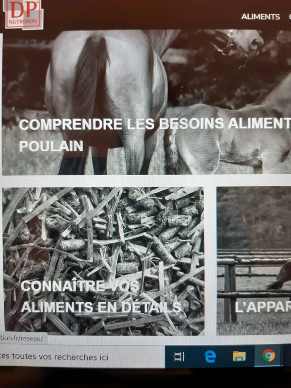 À qui demander des conseils en matière de nutrition pour mon cheval à Bordeaux ?