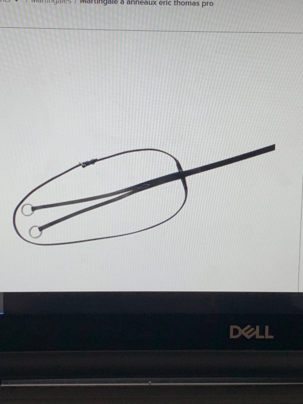  Acheter une martingale anneaux taille cheval en Aquitaine 