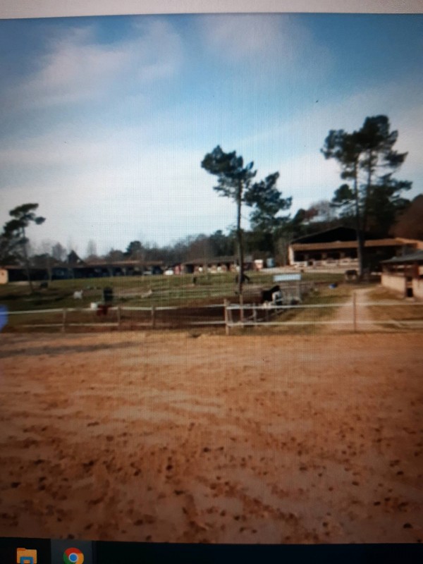 Trouver des cours de poney pour mon enfant à Bergerac pendant les fêtes de Noël