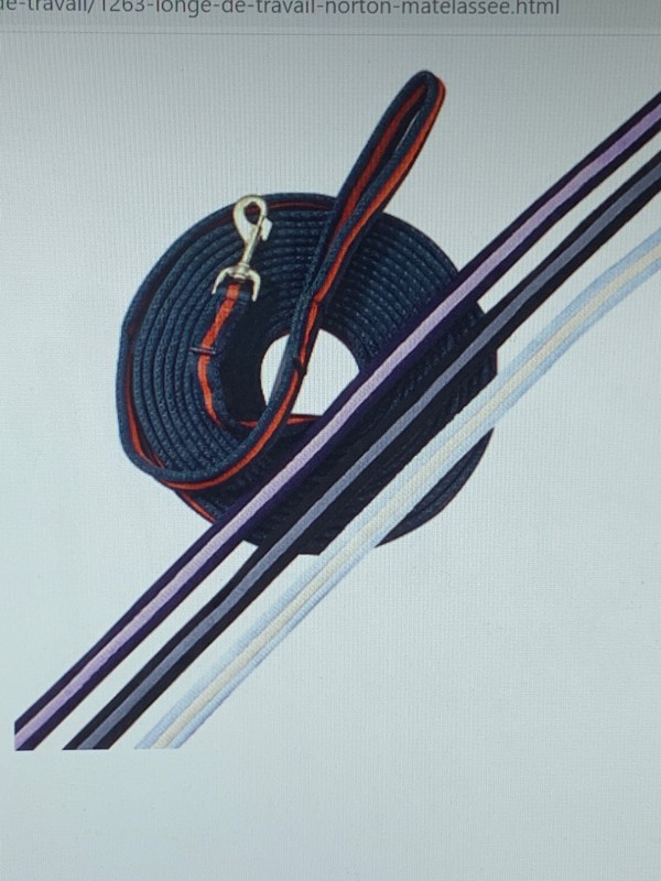  Acheter une longe de travail pour longer mon cheval en Aquitaine 