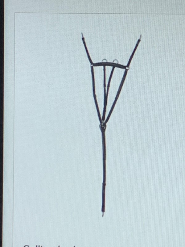  Où trouver un collier de chasse pour empêcher ma selle de reculer en Aquitaine 