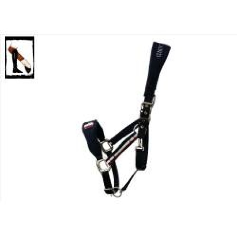 Nouveau licol en cuir à proximité de Bordeaux