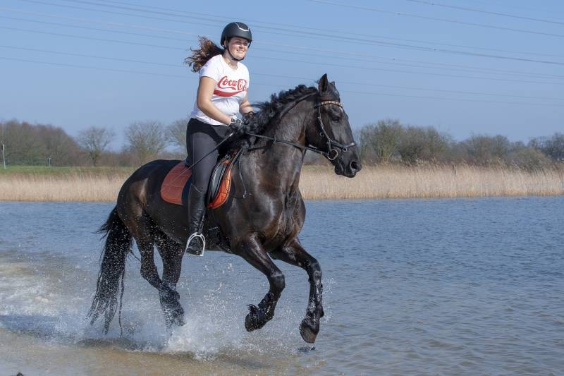 ballades promenades cheval centre equestre luberon le lozet